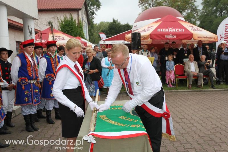 I Krajowa Wystawa Bydła Mięsnego w Sielinku - sobota