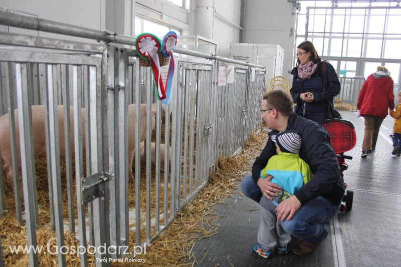 XXVI Krajowa Wystawa Zwierząt Hodowlanych - sobota i niedziela