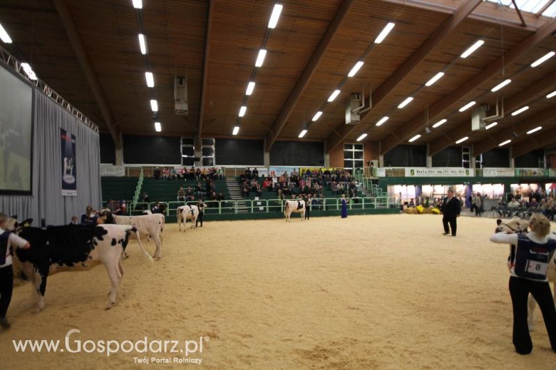 Wystawa  Blickpunkt Rind 2013 w miejscowości Paaren/Glien (Niemcy)