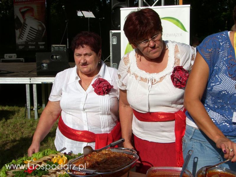 Festiwal Wieprzowiny Drzeczkowo 2012