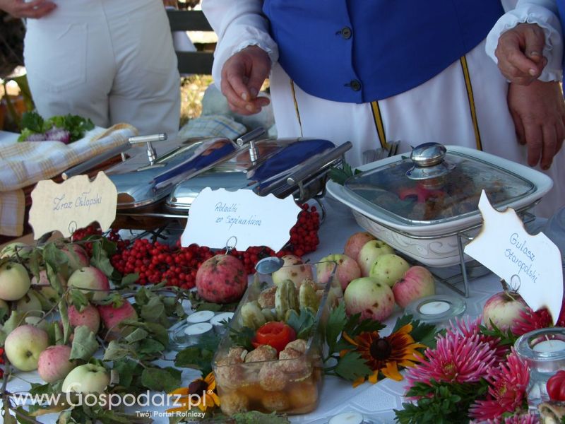 Festiwal Wieprzowiny Targowisko Dolne k/Lubawy 2012