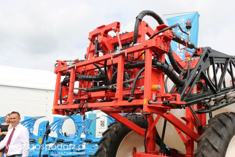 Maschio Gaspardo na Regionalnej Wystawie Zwierząt Hodowlanych i Dni z Doradztwem w Szepietowie 2017