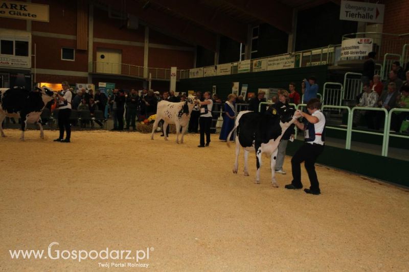 Wystawa  Blickpunkt Rind 2013 w miejscowości Paaren/Glien (Niemcy)