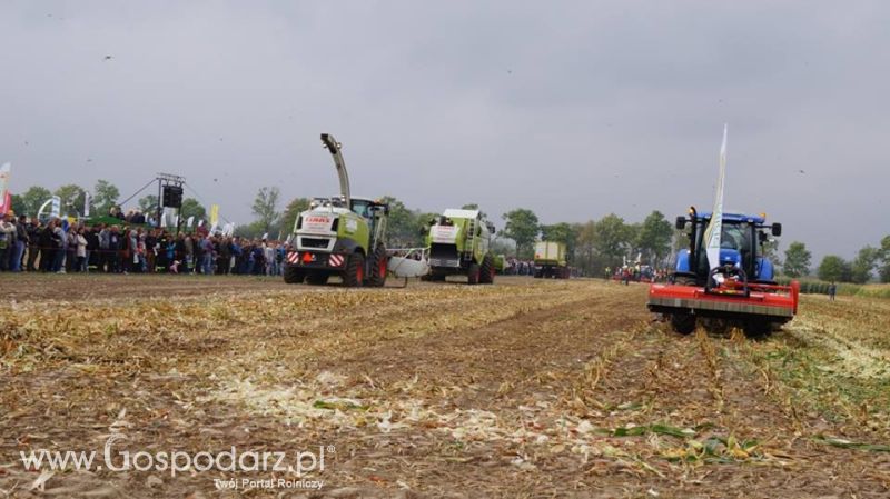 Podlaski Dzień Kukurydzy 2015