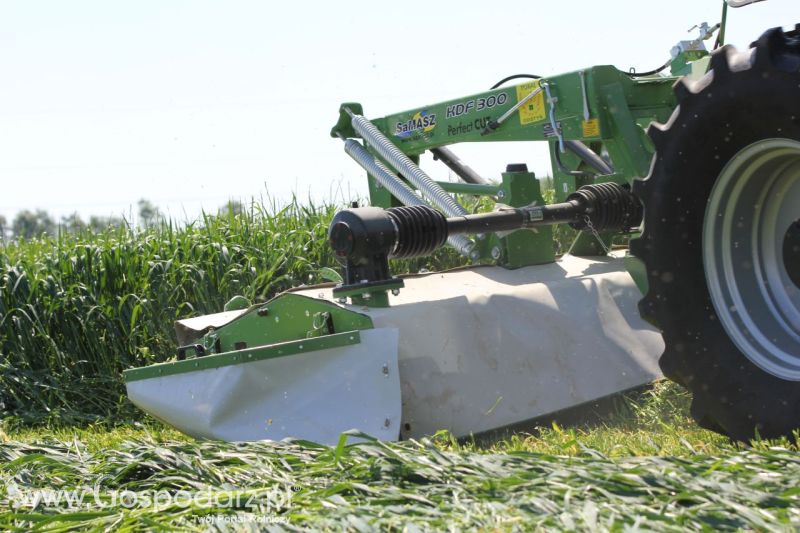 Zielone AGRO SHOW – POLSKIE ZBOŻA 2014 w Sielinku - niedziela