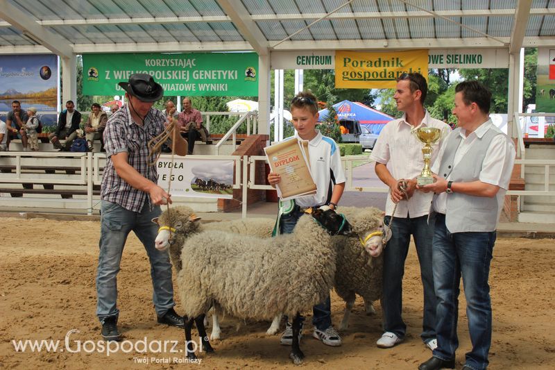 Czempioni XVII Regionalnej Wystawy Zwierząt Hodowlanych Sielinko 2011