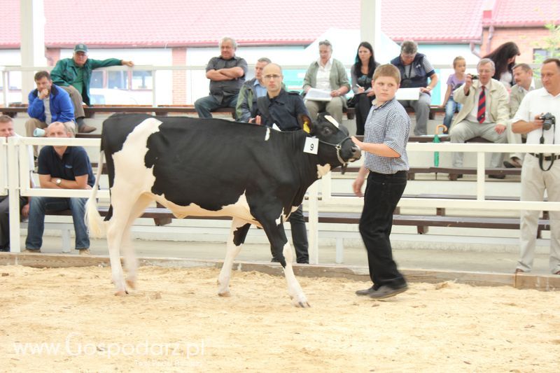 Wystawa bydła Sielinko 2011
