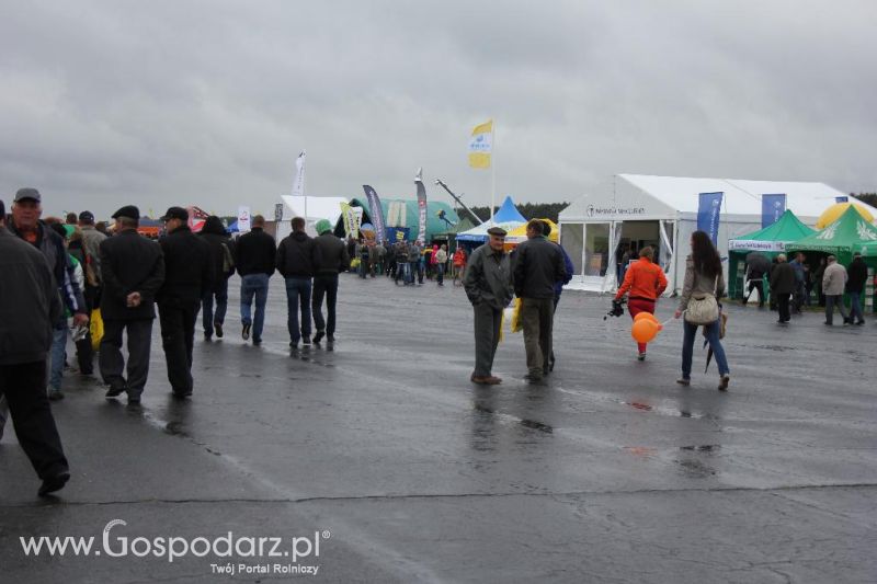 Polskie Zboża i Zielone Agro Show 2013