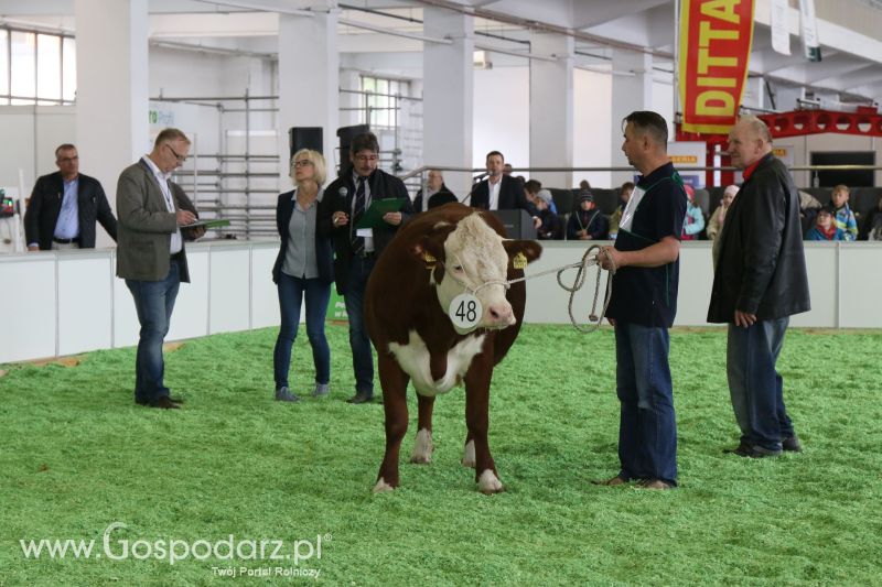 Krajowa Wystawa Zwierząt Hodowlanych w Poznaniu 2017 (piątek, 5 maja)