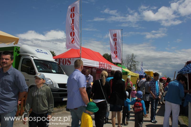 Wielkopolskie Targi Rolnicze „Sielinko 2011” - Niedziela