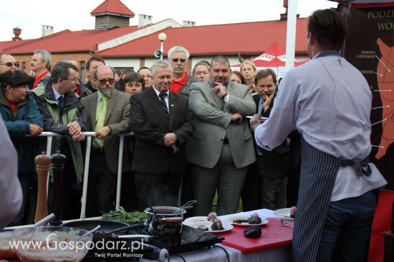 Otwarcie VII Ogólnopolskiej Wystawy Bydła Hodowlanego - Sielinko 2012