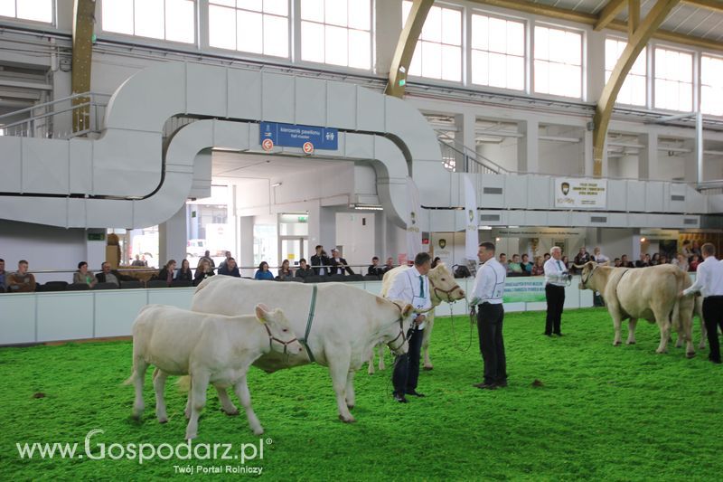 KWZH 2015 piątek
