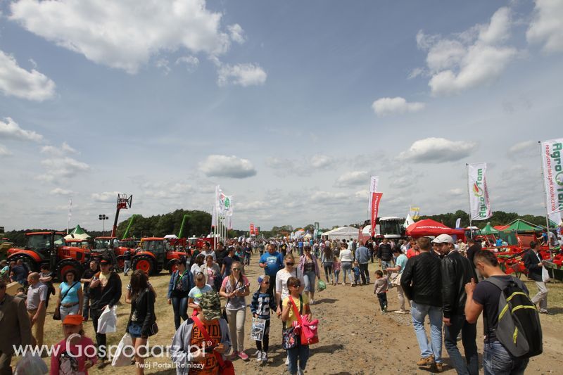 Zielone AGRO SHOW - Polskie Zboża 2015 w Sielinku