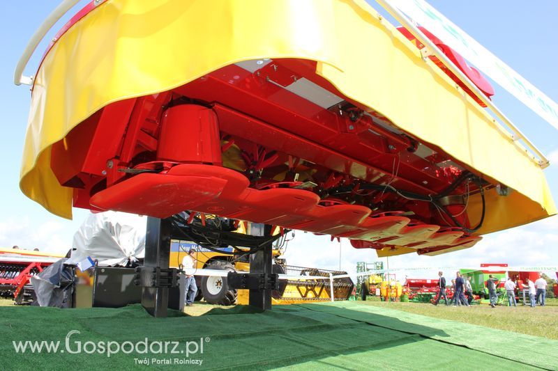 XVIII Regionalna Wystawa Zwierząt Hodowlanych i Dni z Doradztwem Rolniczym w Szepietowie - Sobota