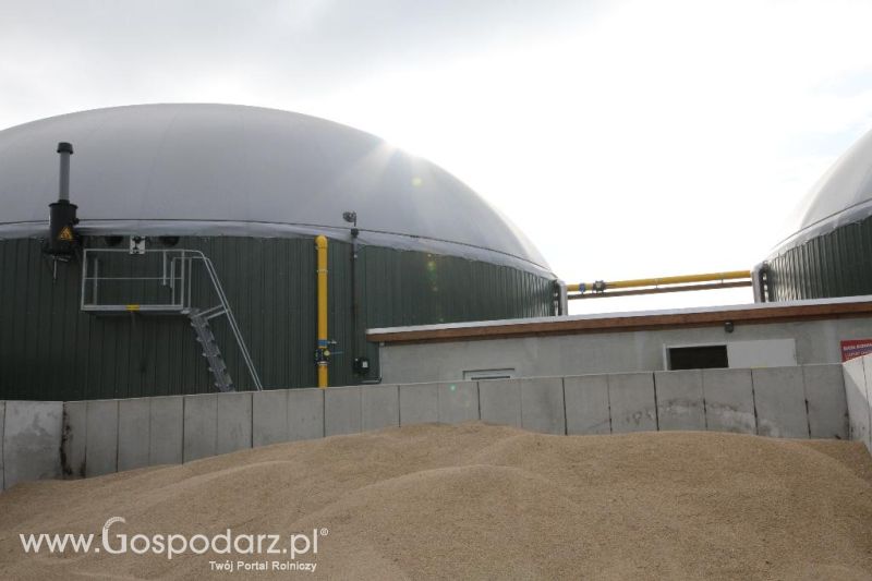 Wyjazd studyjny na farmę Langengrassau w Niemczech