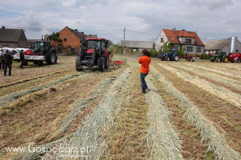Pokazy polowe Romanów k/Krotoszyna