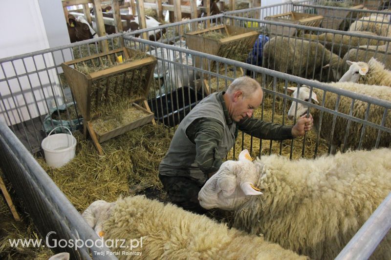 XXV Krajowa Wystawa Zwierząt Hodowlanych Niedziela