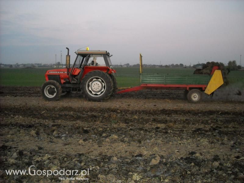 Sezon 2011-wspomnienia 