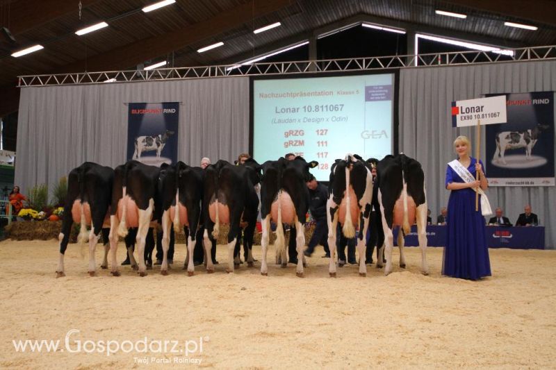 Wystawa  Blickpunkt Rind 2013 w miejscowości Paaren/Glien (Niemcy)