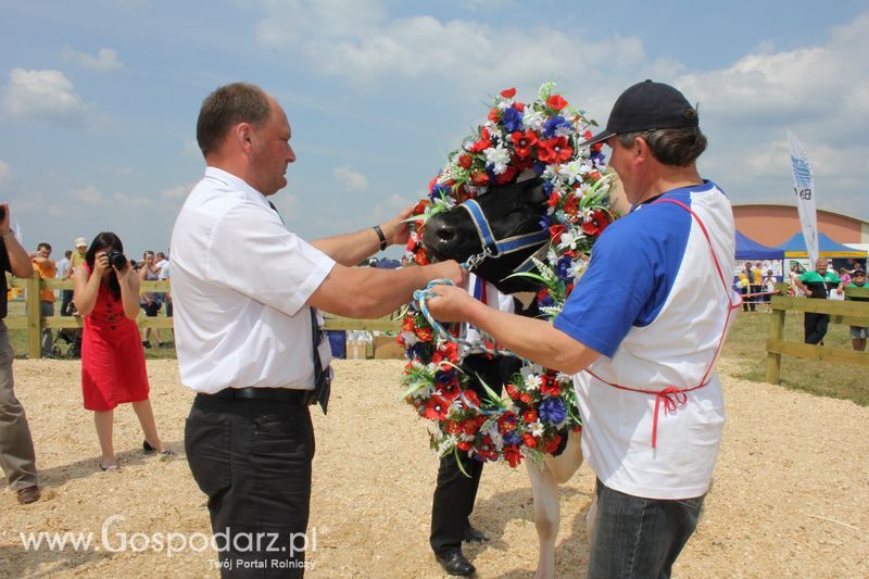 Superchampioni i championi Śląskiej Wystawy Bydła Mlecznego Opolagra 2011