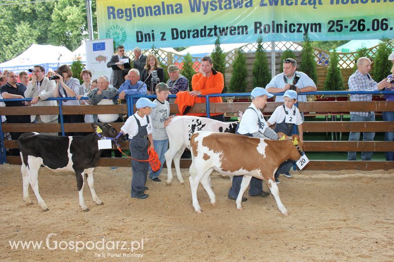 Młody hodowca na XVIII Regionalnej Wystawie Zwierząt Hodowlanych w Szepietowie