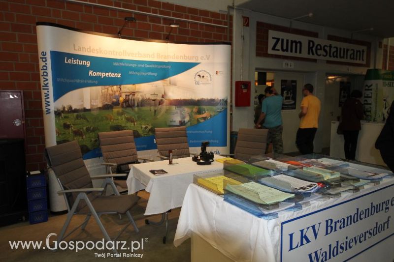 Wystawa  Blickpunkt Rind 2013 w miejscowości Paaren/Glien (Niemcy)