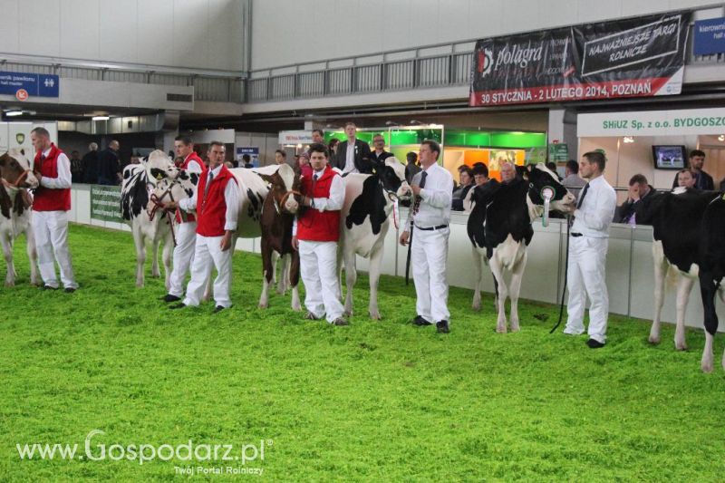 XXVI Krajowa Wystawa Zwierząt Hodowlanych - sobota i niedziela