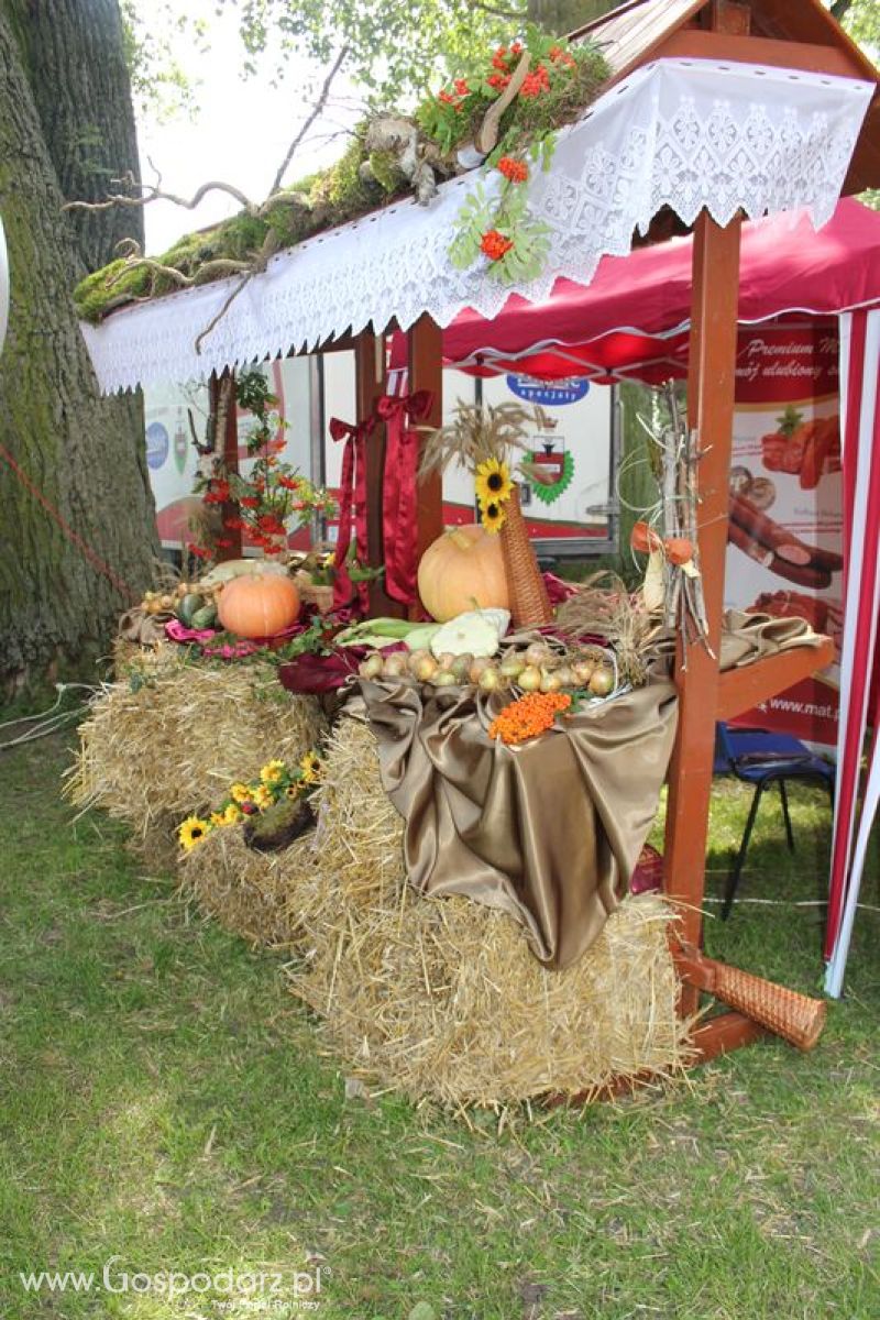 Ogólnopolski Festiwal Wieprzowiny w Łasinie