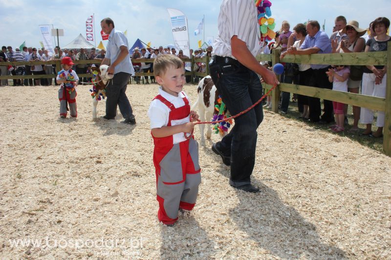 Wystawa Bydła: Konkurs Młodego Hodowcy - Opolagra 2011