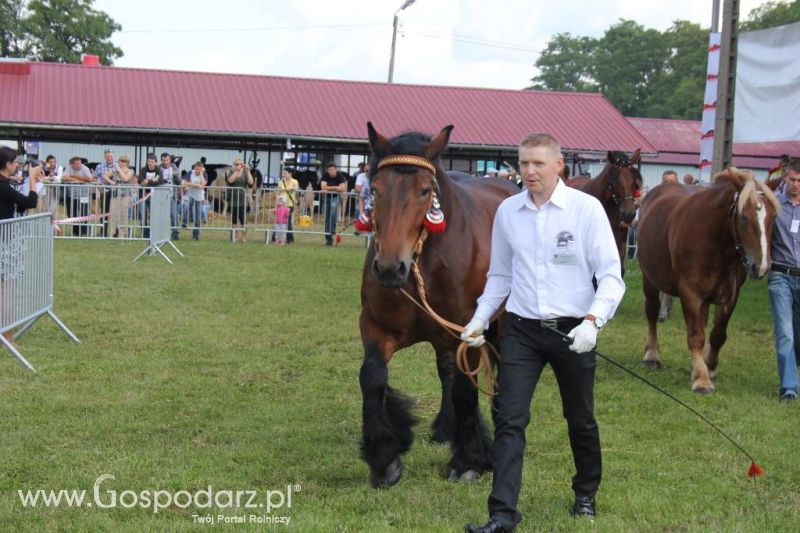 Regionalna Wystawa Zwierząt Hodowlanych i Dni z Doradztwem Rolniczym w Szepietowie-sobota