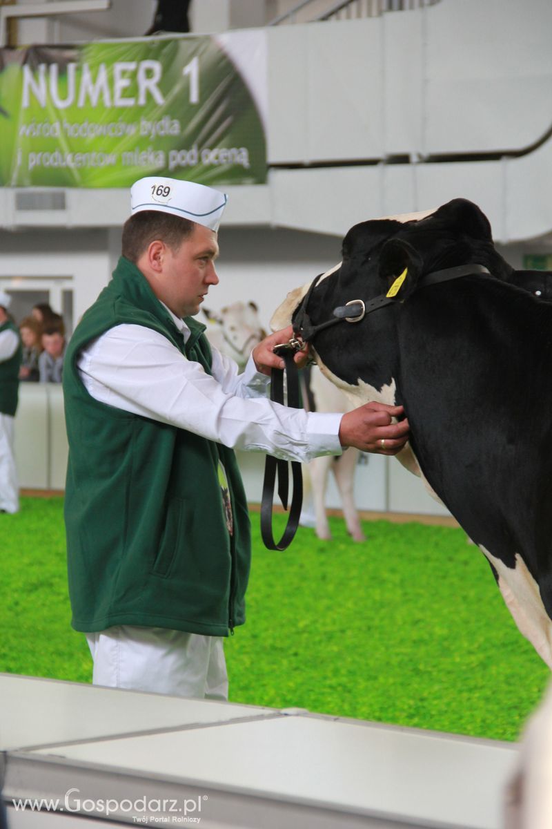 KWZH 2015 piątek