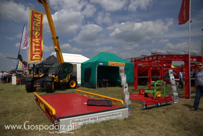 Ditta-Seria na OPOLAGRZE 2016