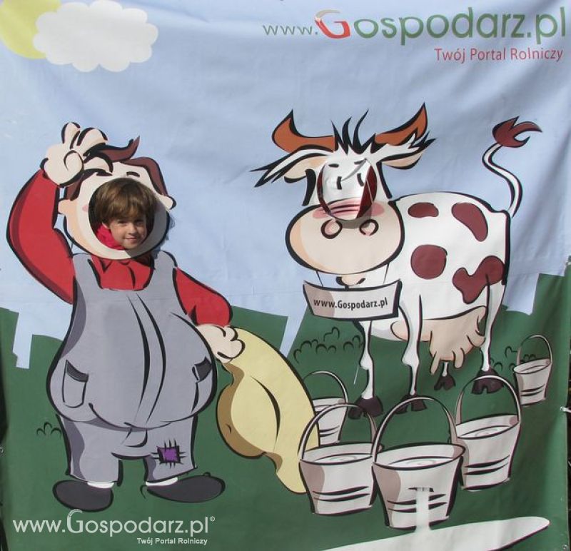 Agro Show 2011 Bednary Zdjęcie z krówką Sobota