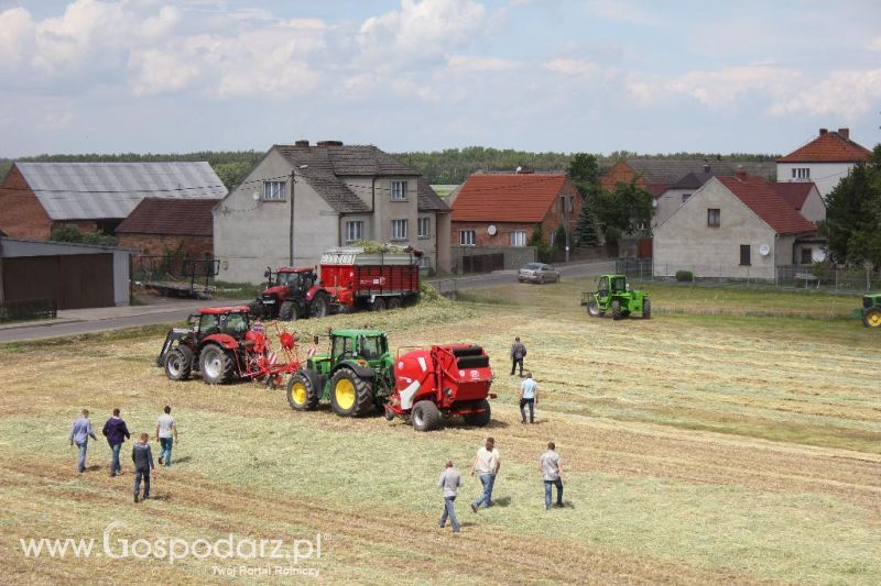 Pokazy polowe Romanów k/Krotoszyna