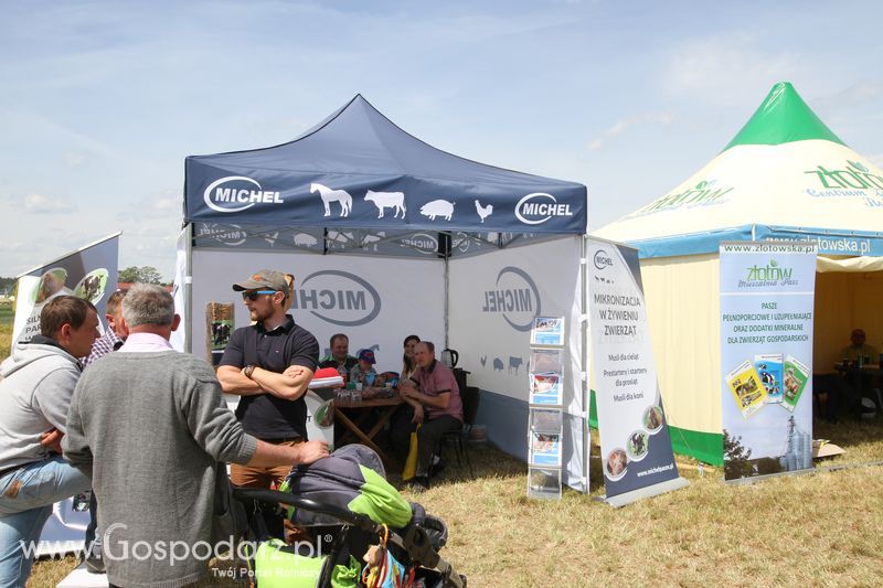 Zielone AGRO SHOW - Polskie Zboża 2015 w Sielinku