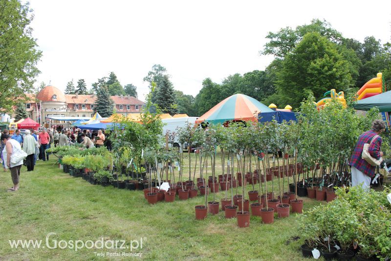 XX Targi Rolnicze Lubniewice 
