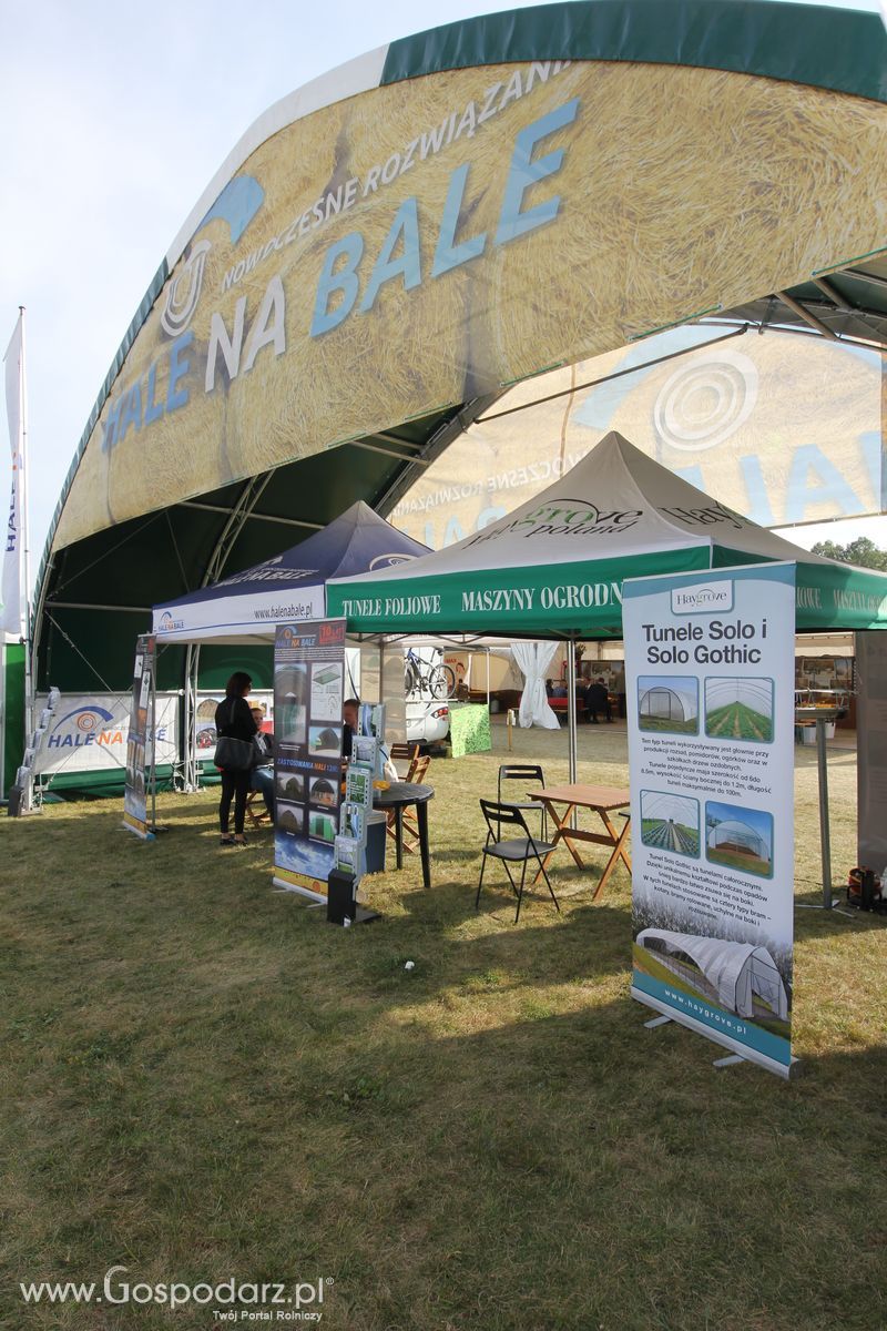 AGRO SHOW Bednary 2016 - Piątek