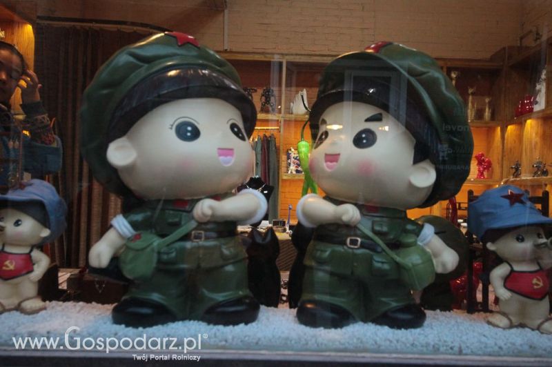 Gospodarz.pl w Chinach
