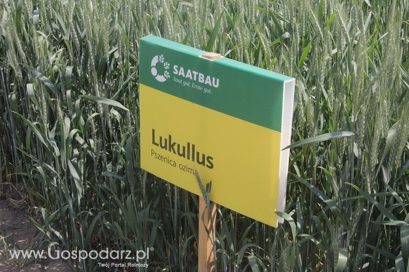 Zielone AGRO SHOW - Polskie Zboża 2015 w Sielinku