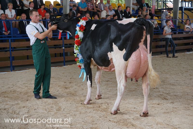 Wystawa zwierząt w Szepietowie