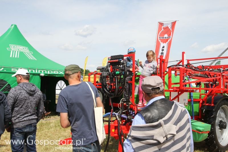 Zielone AGRO SHOW - Polskie Zboża 2015 w Sielinku