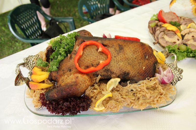 VIII Święto Gęsi - Konkurs kulinarny Najlepsza potrawa z Gęsi