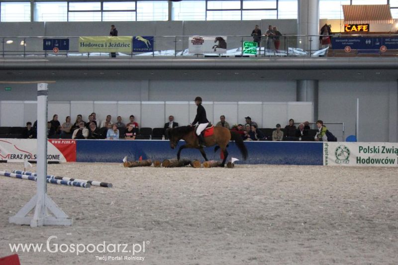 XXVI Krajowa Wystawa Zwierząt Hodowlanych - piątek