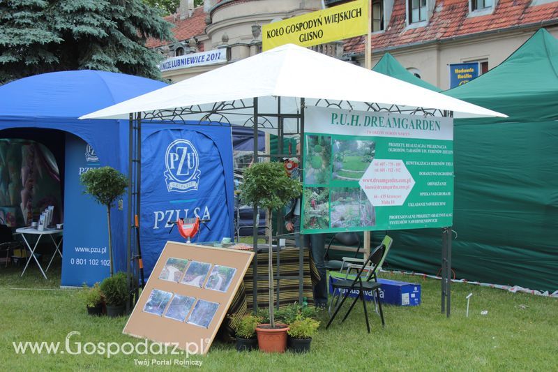 XX Targi Rolnicze Lubniewice 