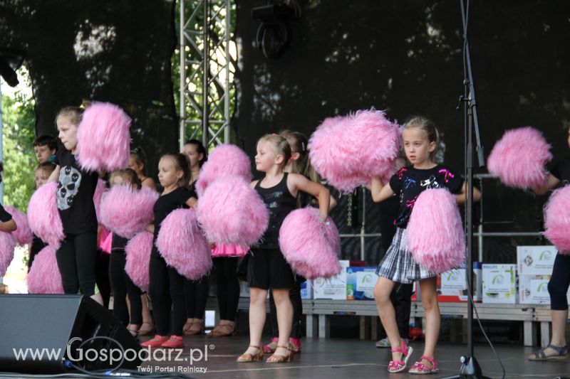 Festiwal Wieprzowiny w Koźminie  Wielkopolskim