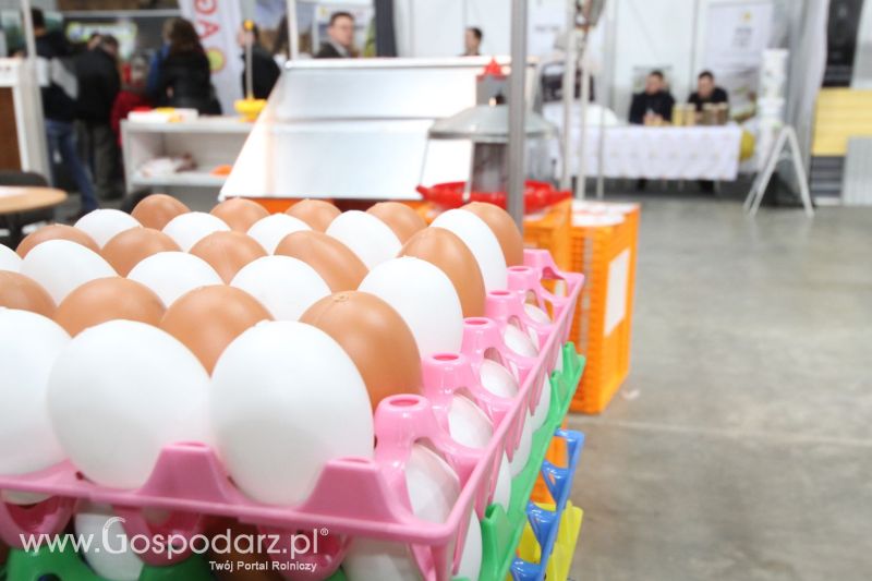 FERMA 2020 dzień 3
