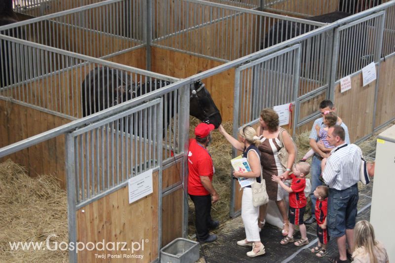 XXV Krajowa Wystawa Zwierząt Hodowlanych Niedziela