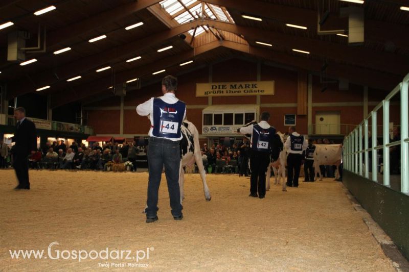 Wystawa  Blickpunkt Rind 2013 w miejscowości Paaren/Glien (Niemcy)