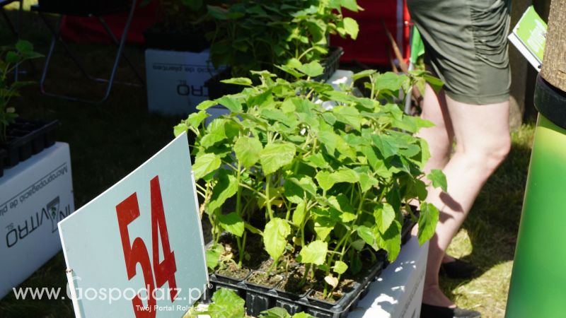 Oxytree na ZIELONE AGRO SHOW w Ułężu 2017