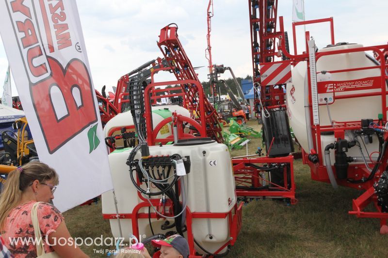 Bury na OPOLAGRA Kamień Śląski 2018